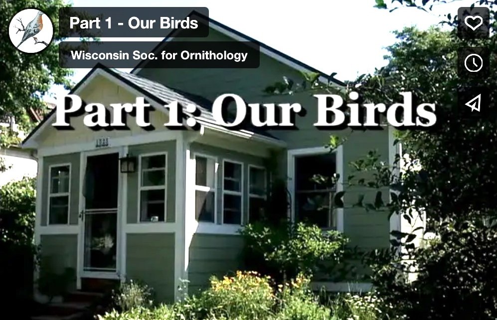 Part 1 - Our Birds