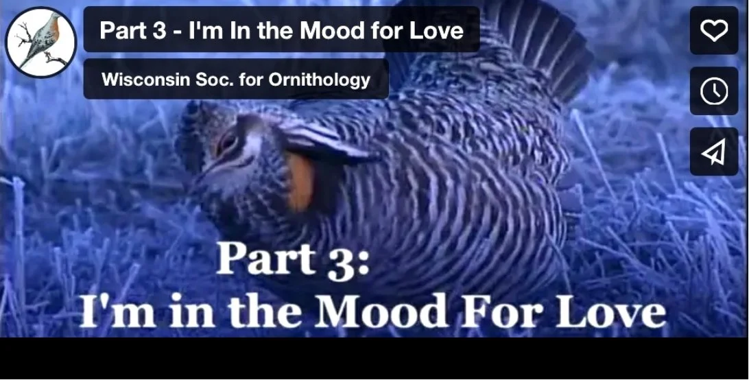Part 3 - I'm in the Mood For Love