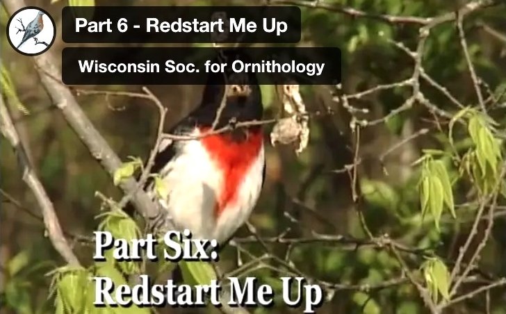 Part 6 - Redstart Me Up