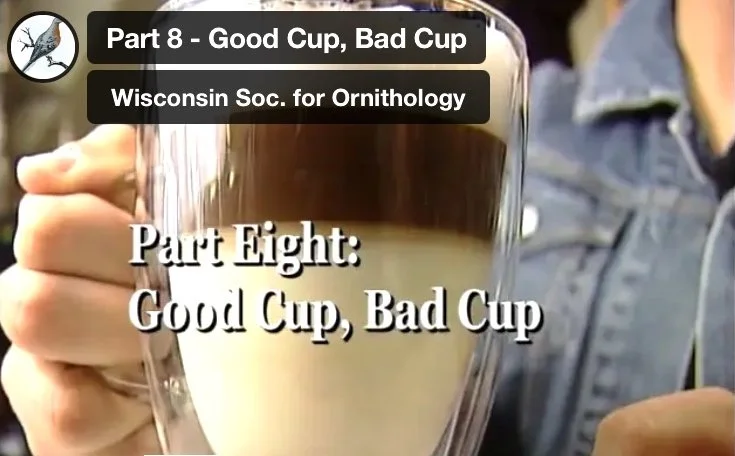 Part 8 - Good Cup, Bad Cup