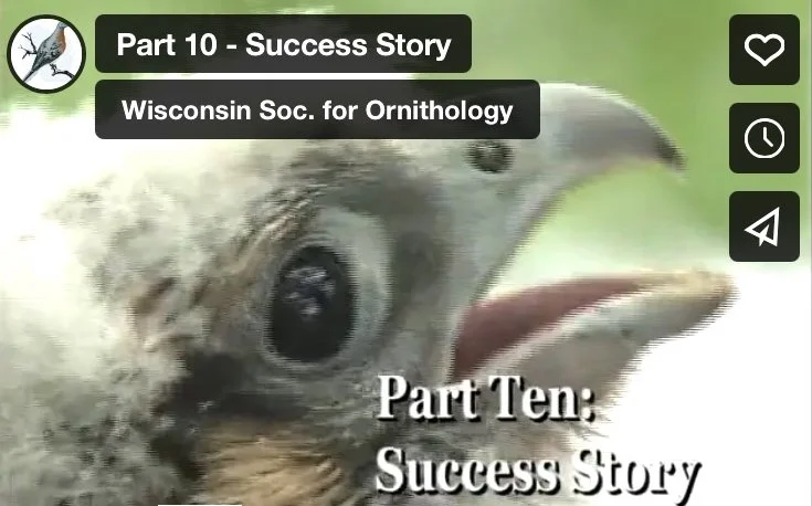 Part 10 - Success Story