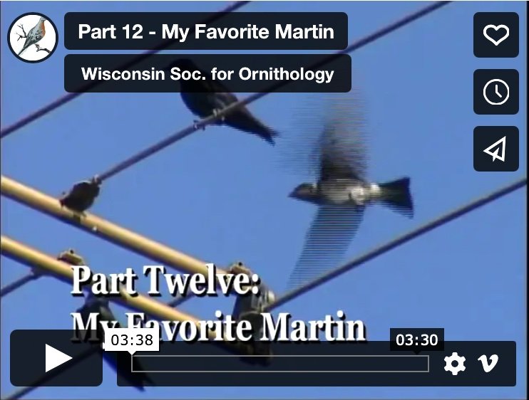 Part 12 - My Favorite Martin