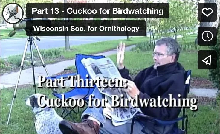 Part 13 - Cuckoo for Birdwatching