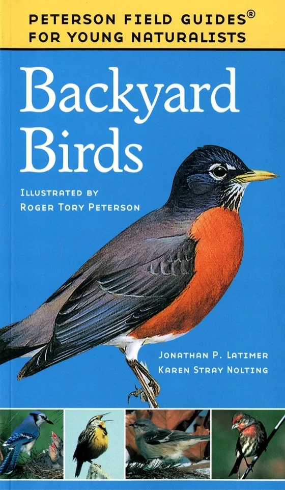 Backyard Birds