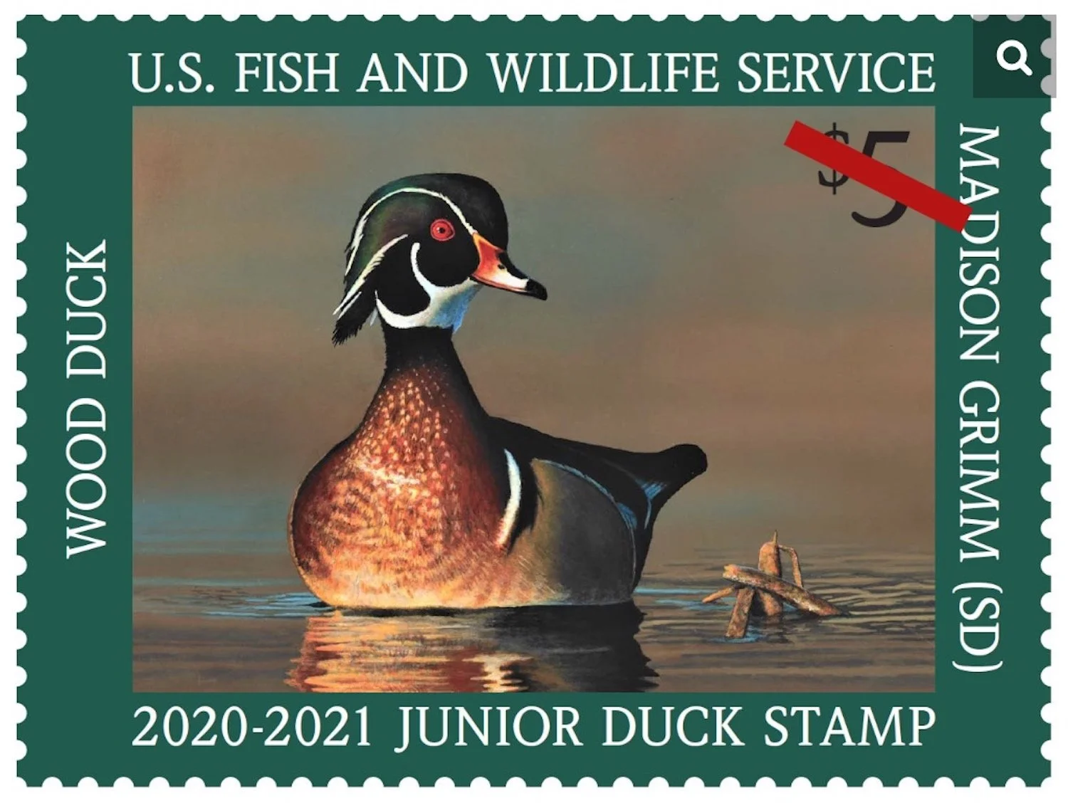 Junior Duck Stamp Competition