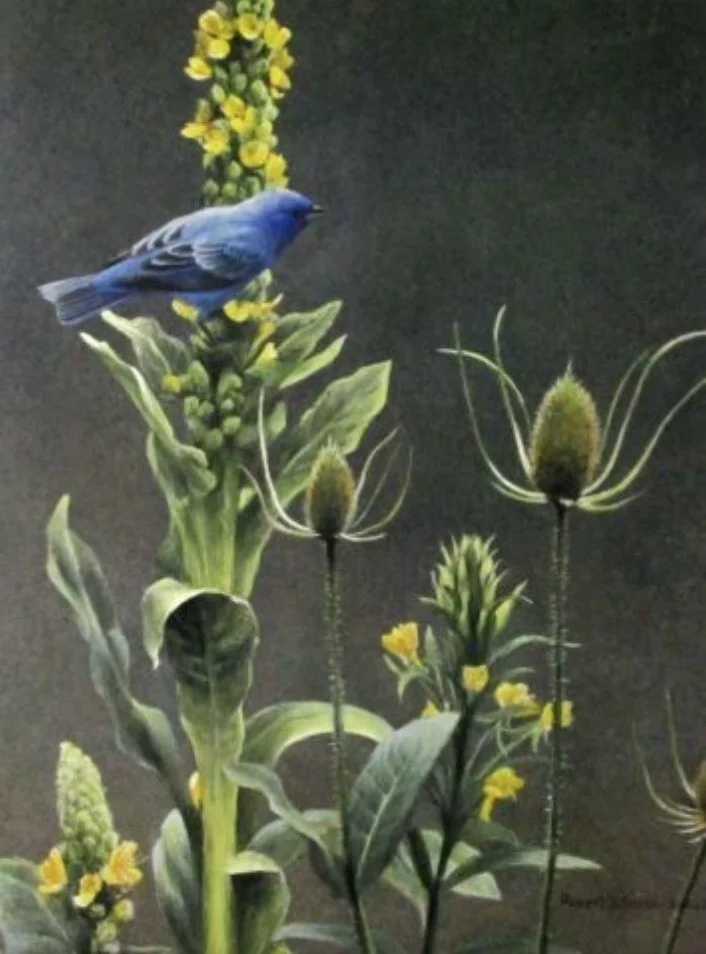 Bird Art by Robert Bateman