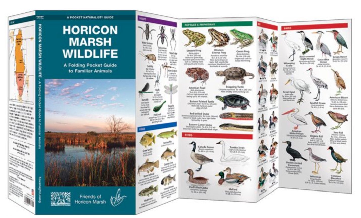 Horicon Marsh
