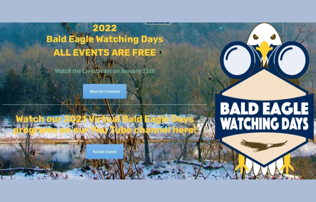 Eagle Watching Days
