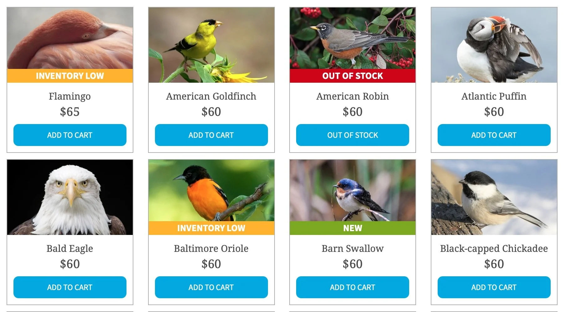 Audubon Adopt-a-Bird