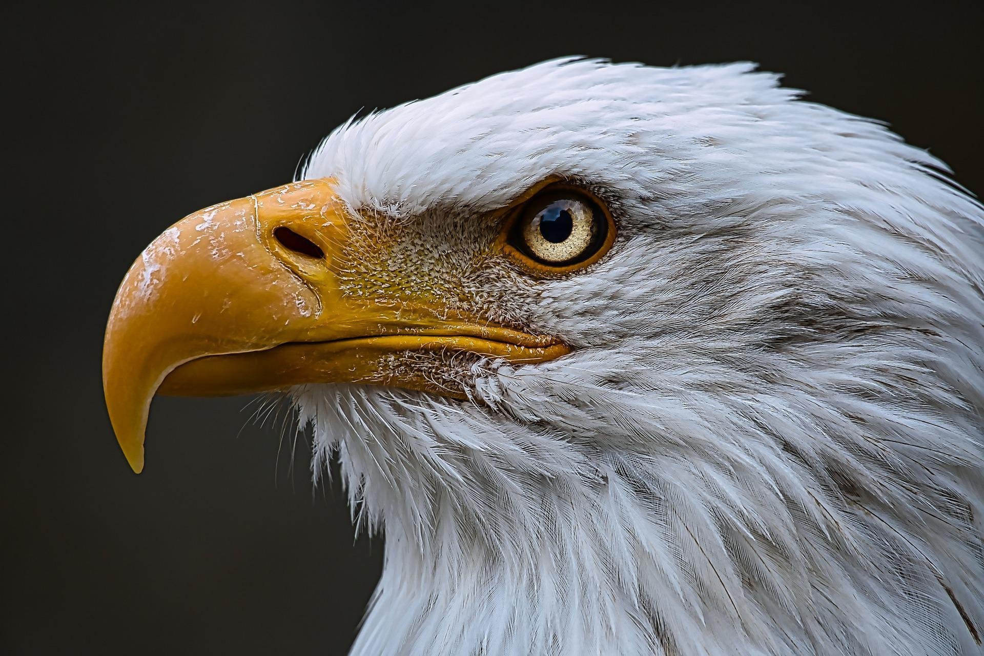 Raptor Education Seminar