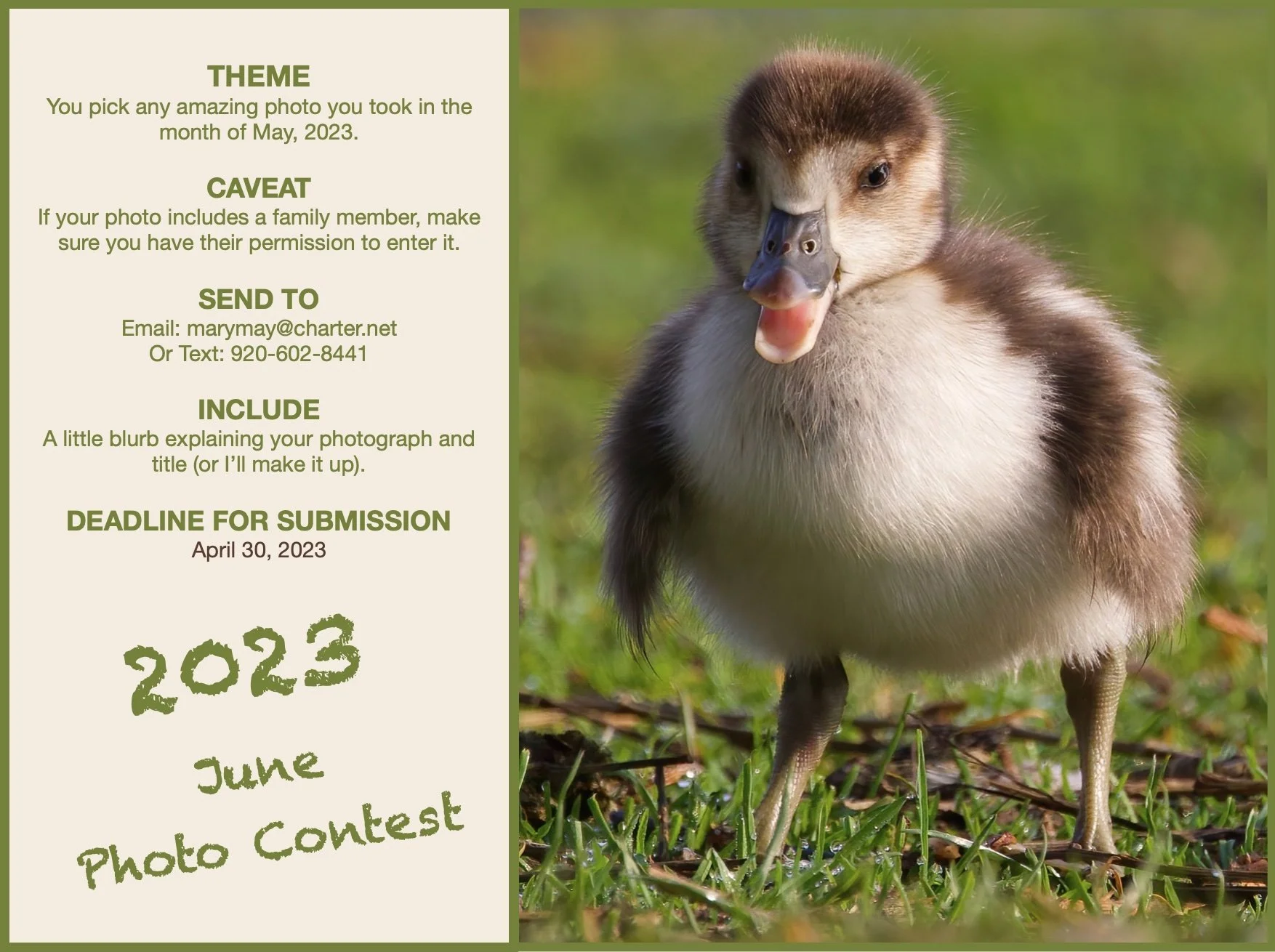 Fabulous Family Photo Contest- May 2023
