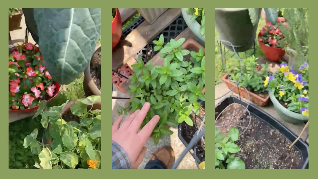 Ada’s Garden Tour