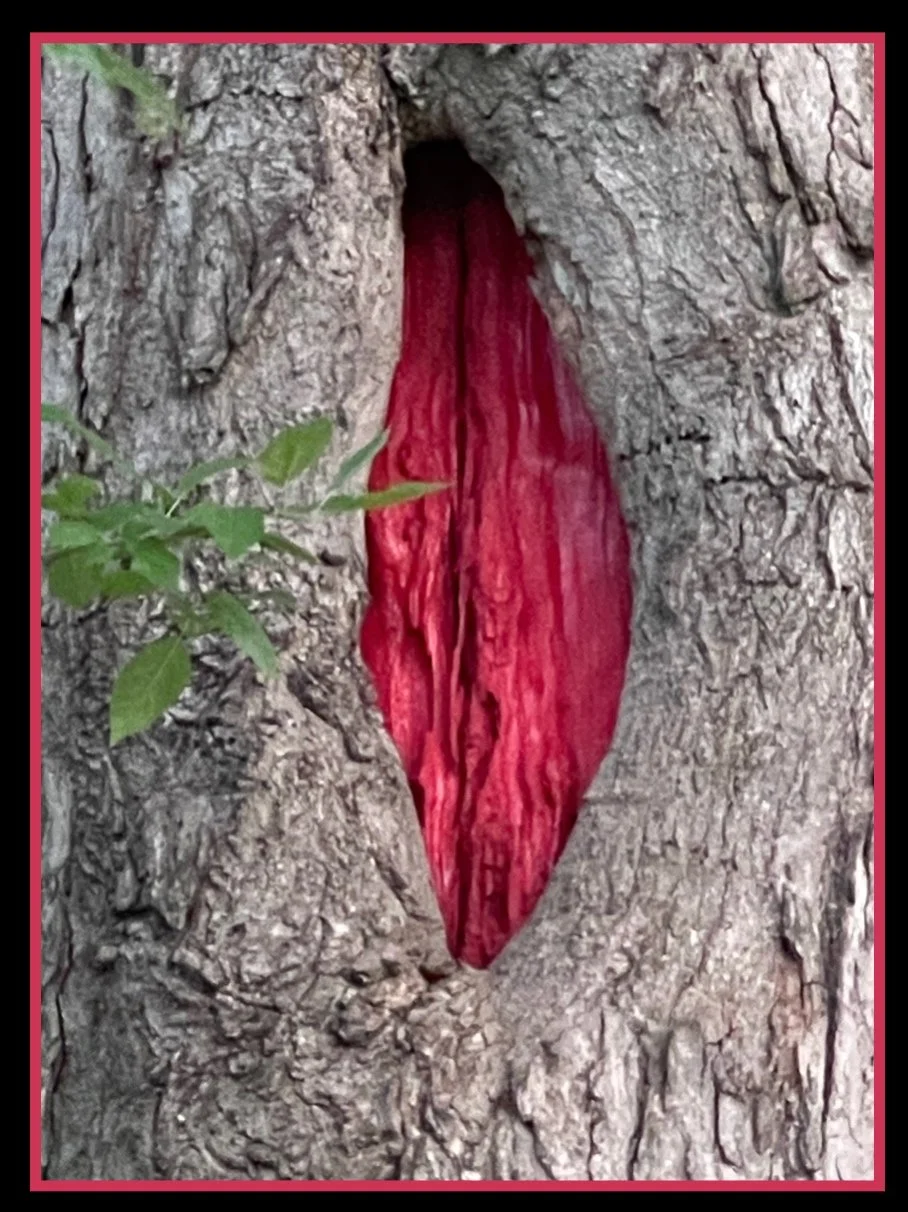 Eye of the Crimson King