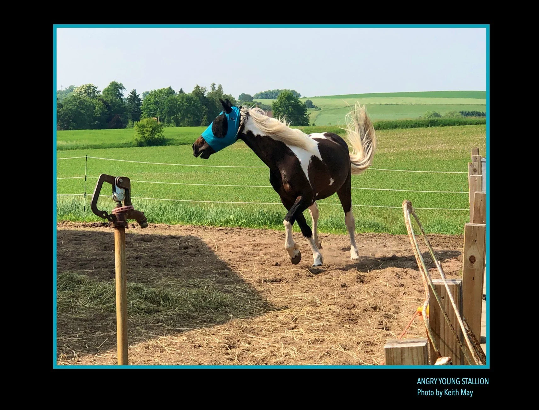 Keith's Photo Contest Entry