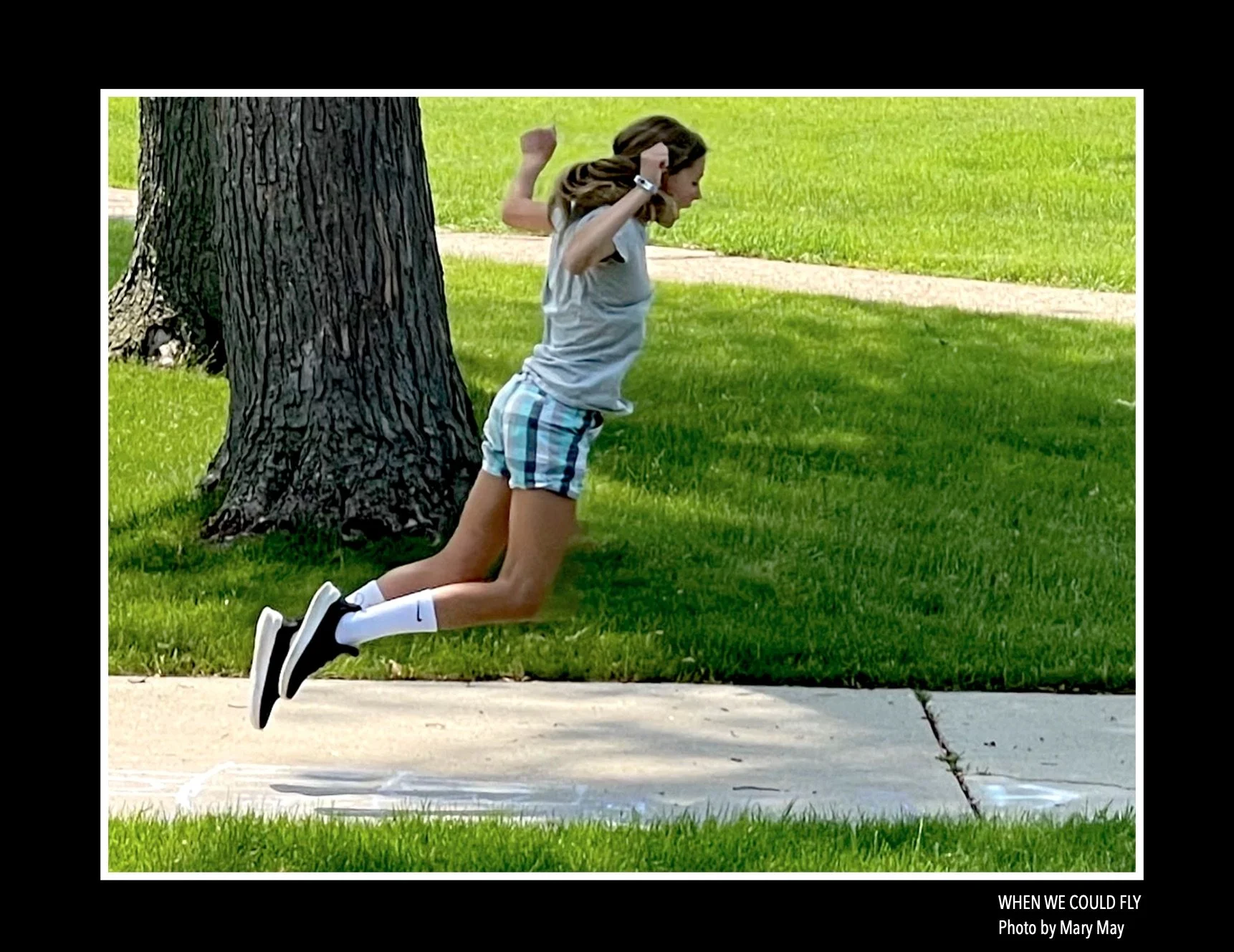 Mary's Photo Contest Entry