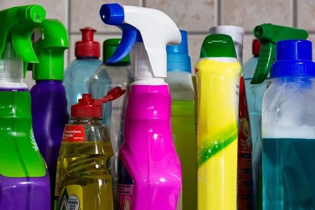 Kallie's Cleaning Day