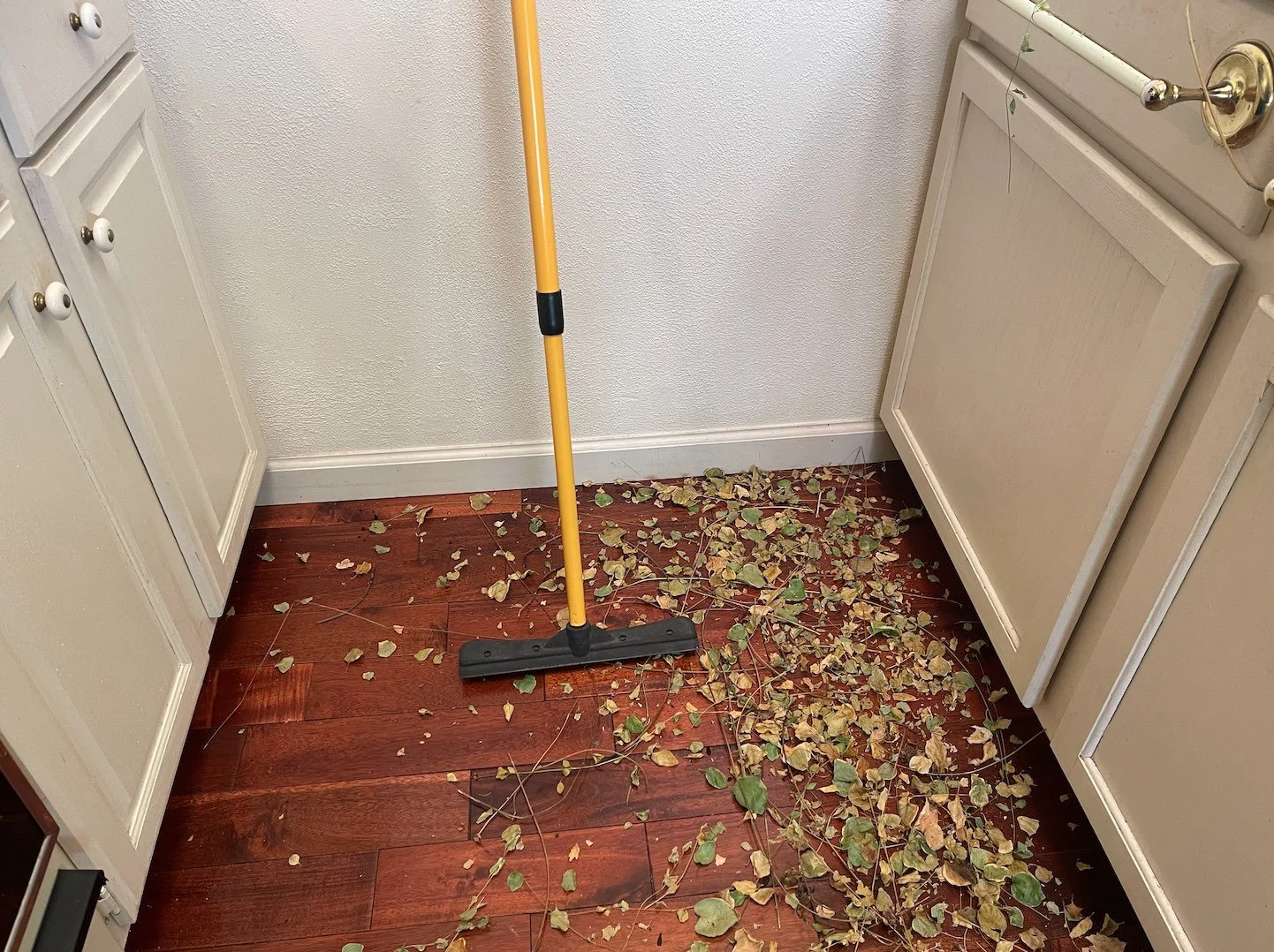 Kitchen Vine Trim 