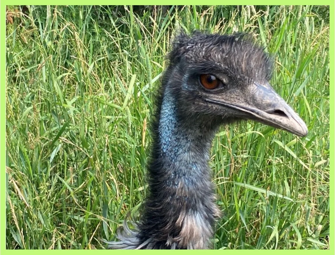 Fabulous Family Photo Contest Winner