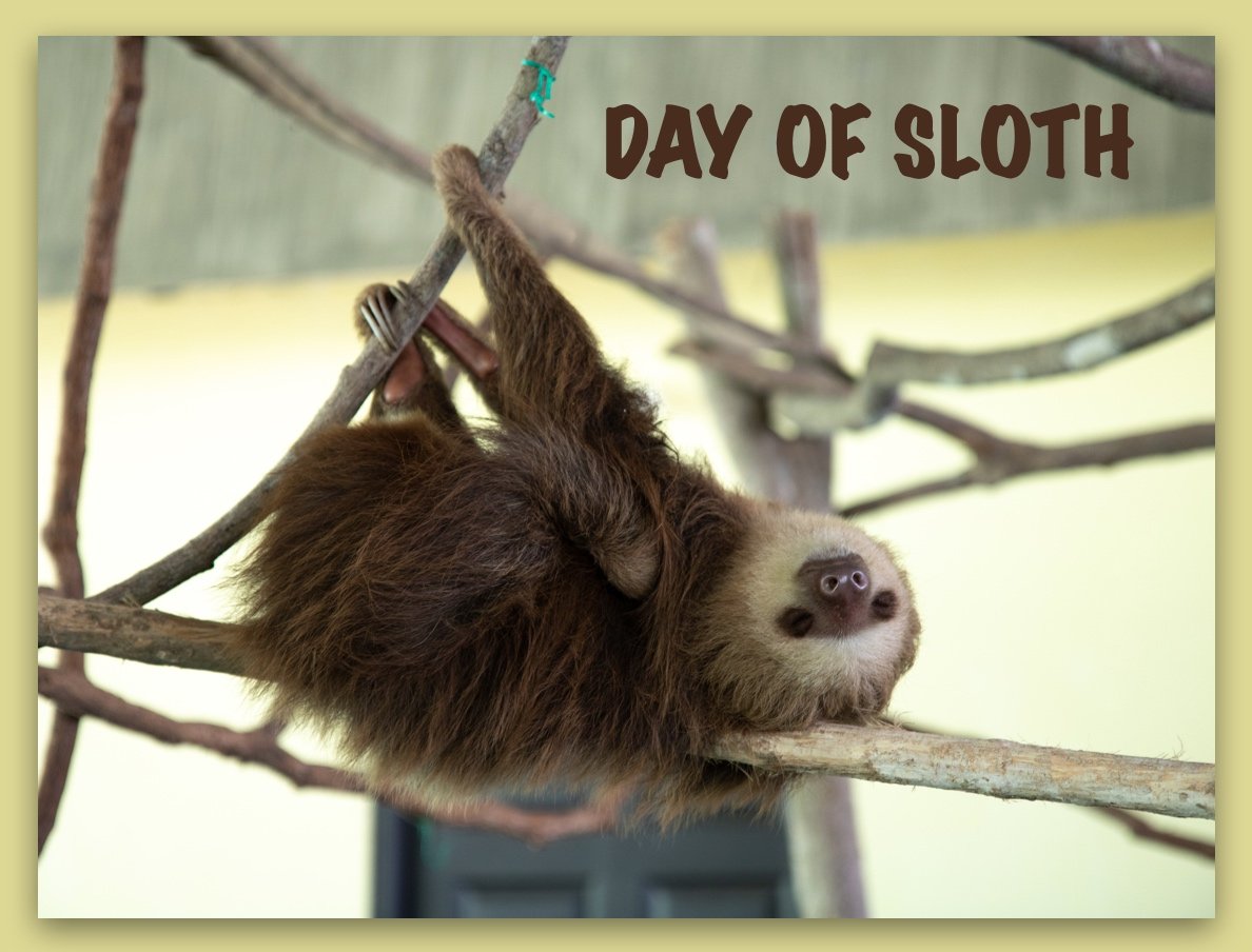 The Day of Sloth