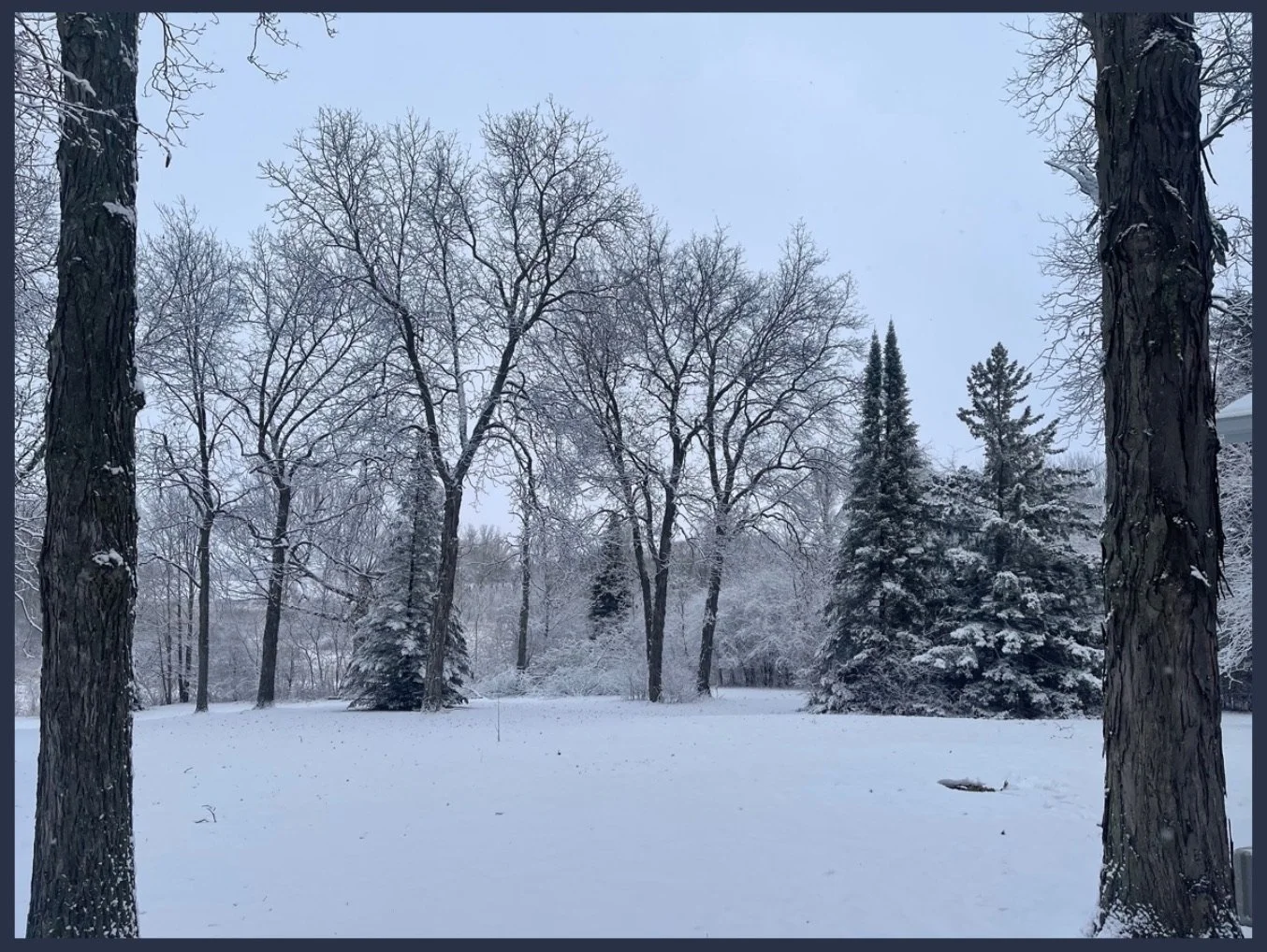 The Yard in Winter