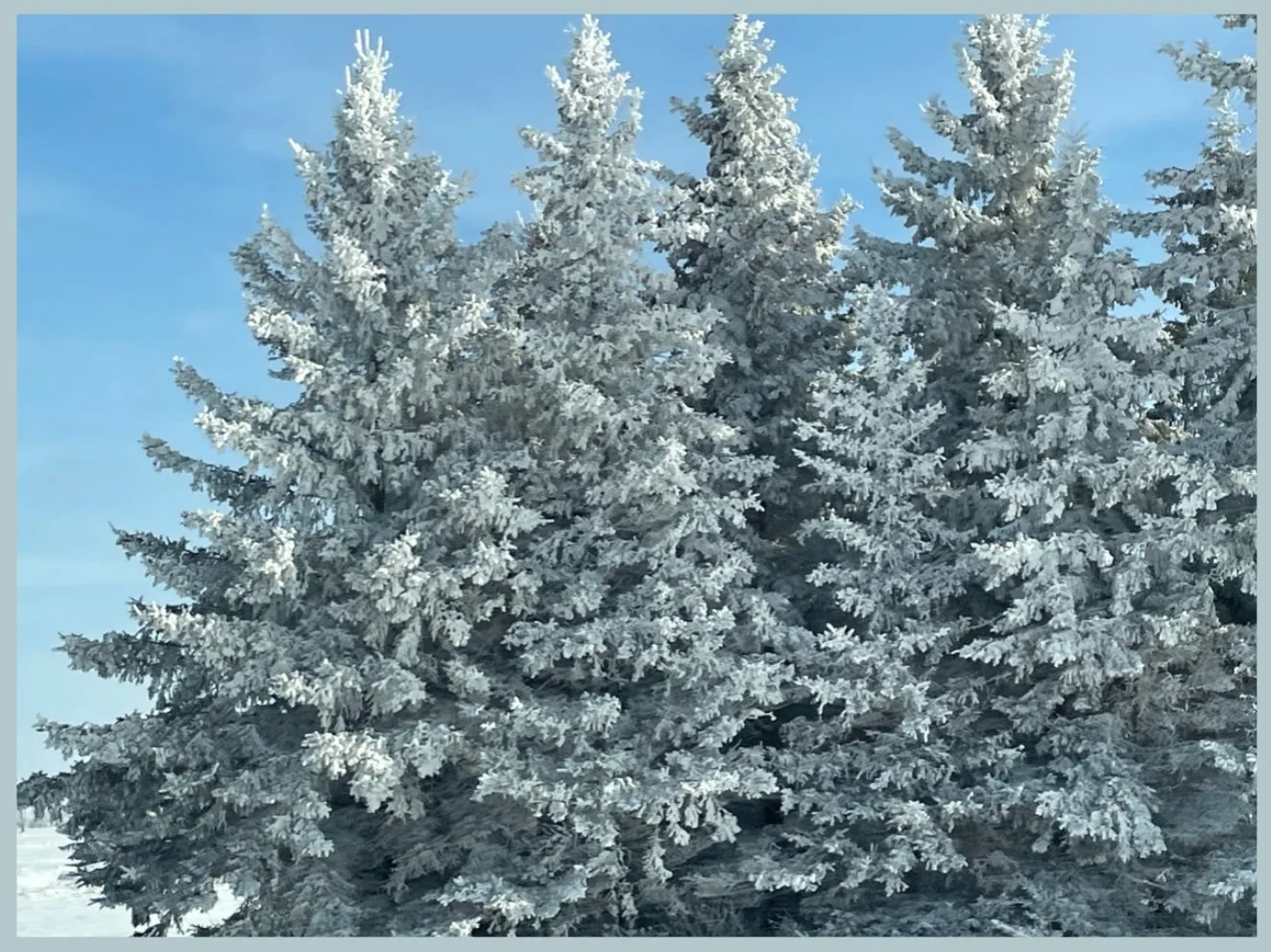 Snowmobiling in Michigan With My Family