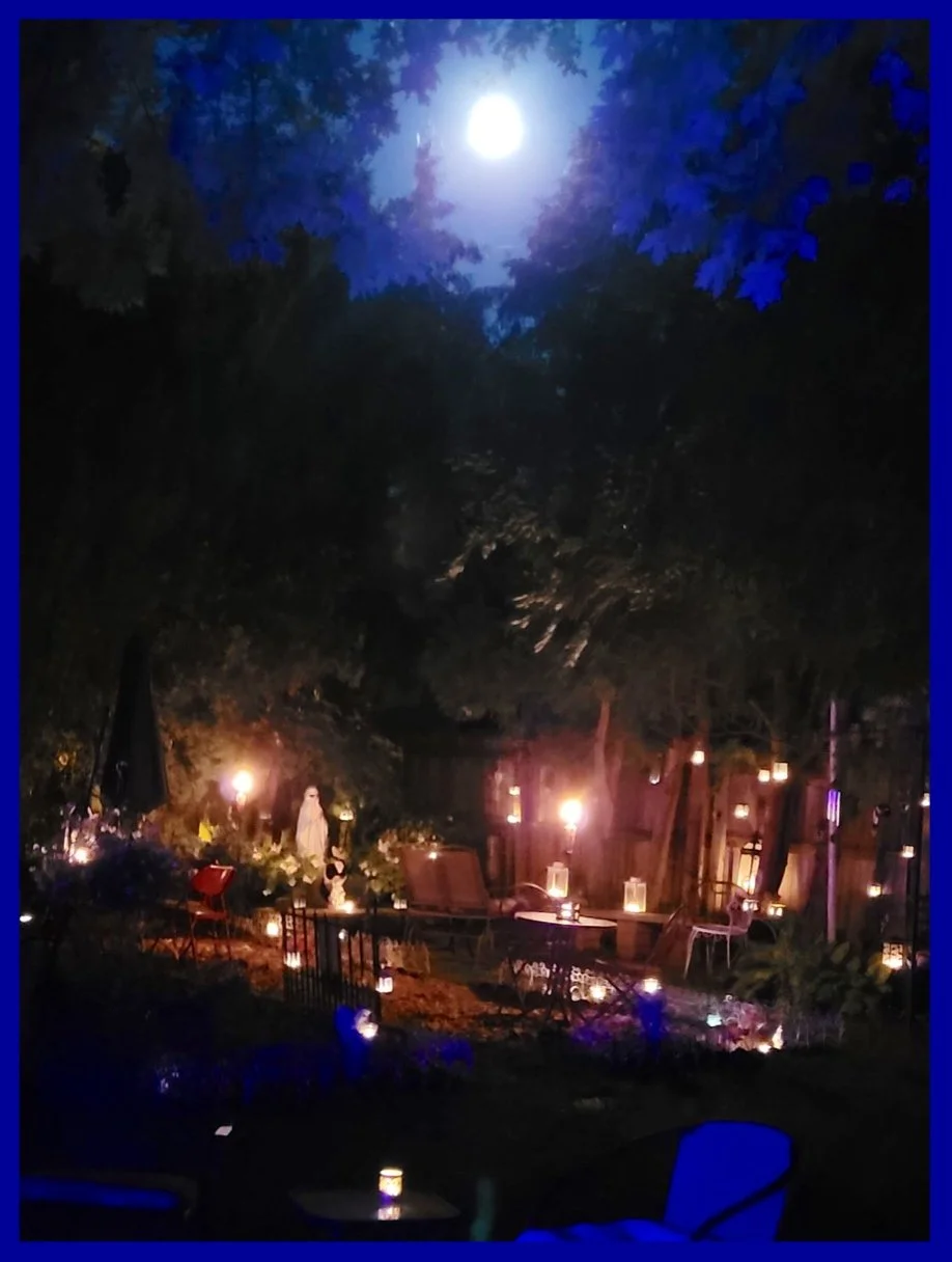 Once in a Blue Moon Fairyland