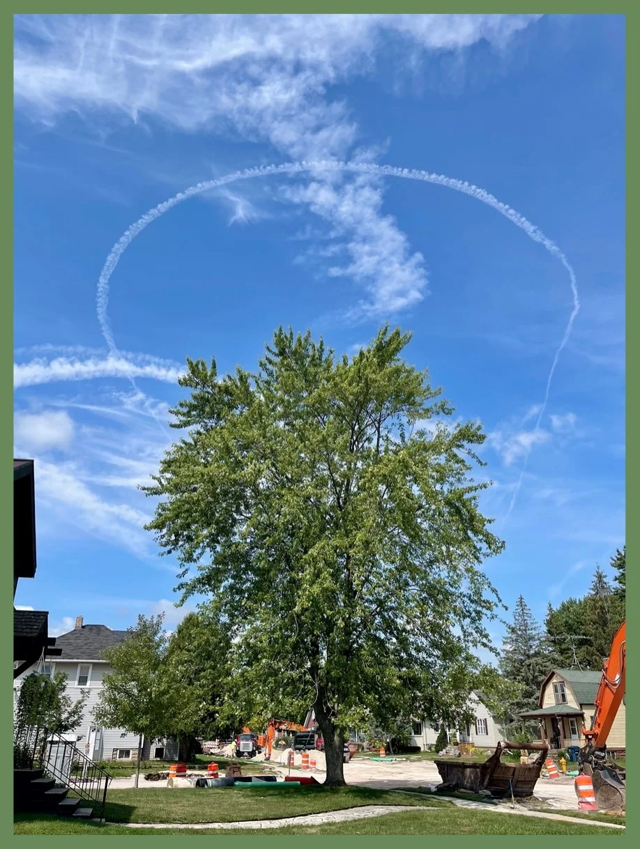 Thy Tree is Holy and Shalt Be Spared