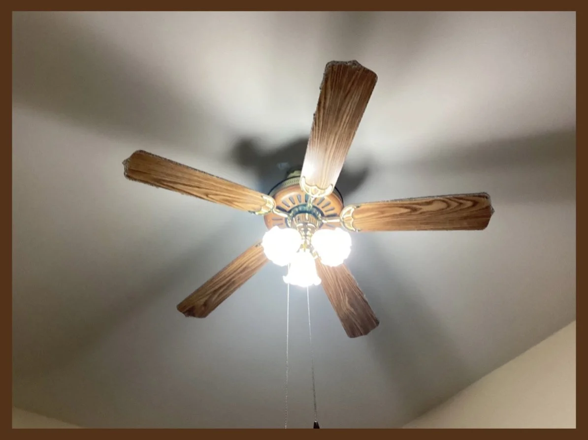 Ceiling Fan