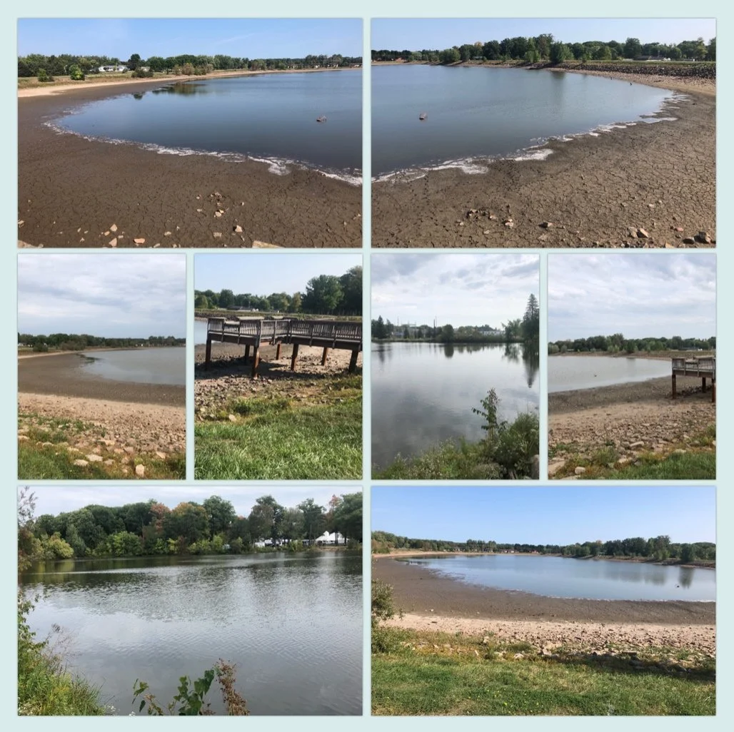 Wildwood Park Drought