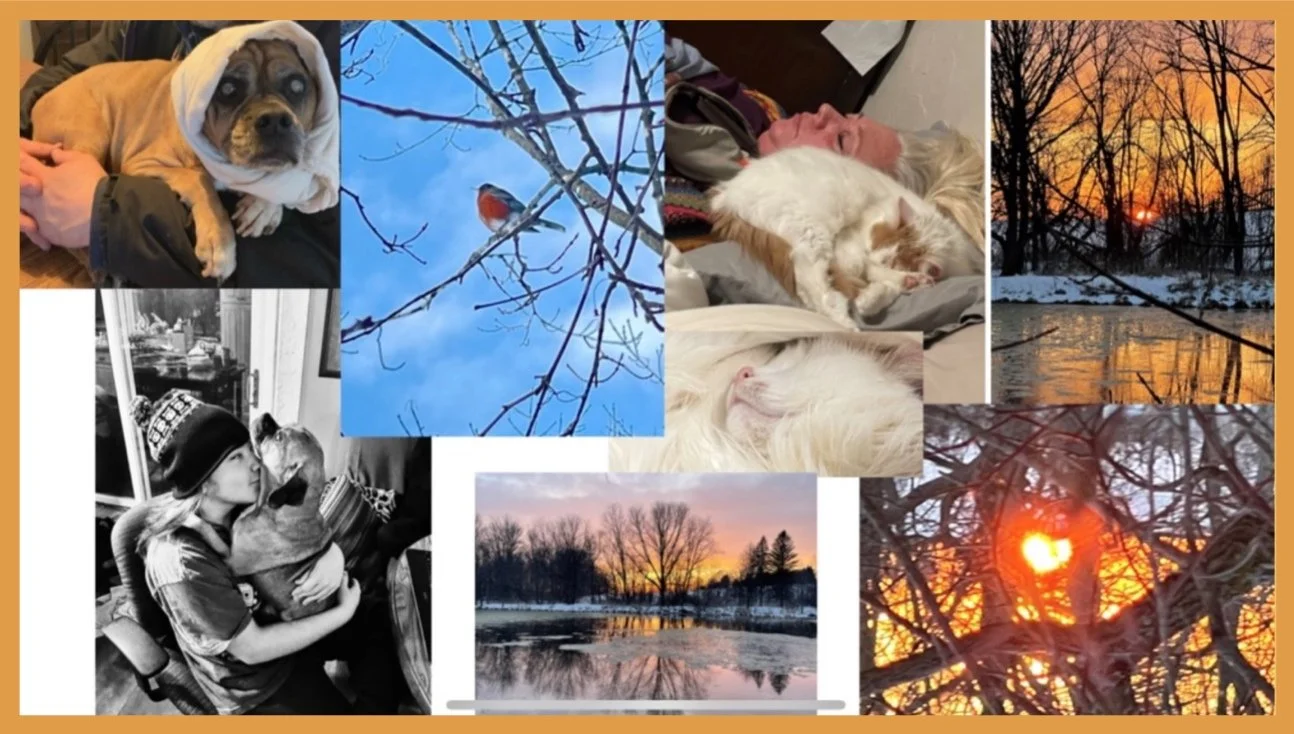 Artesian Collage