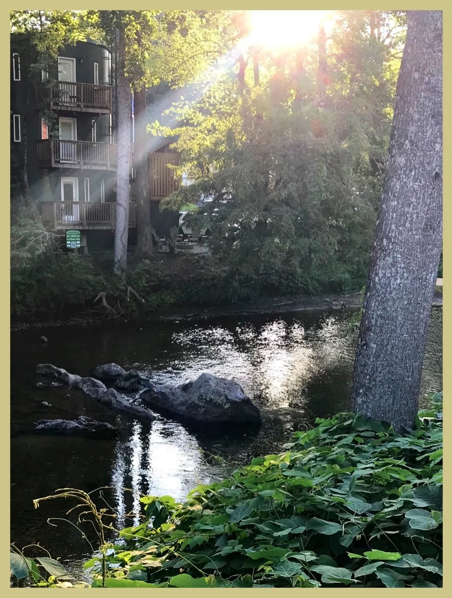 Evening Sun on Chattahoochee River and Kudzu