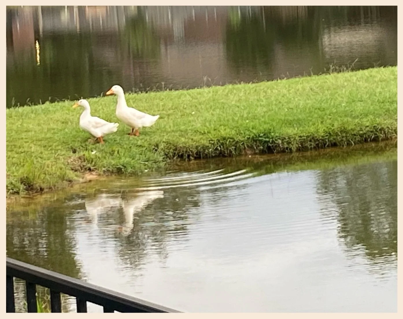 Mississippi Neighbors Passing By