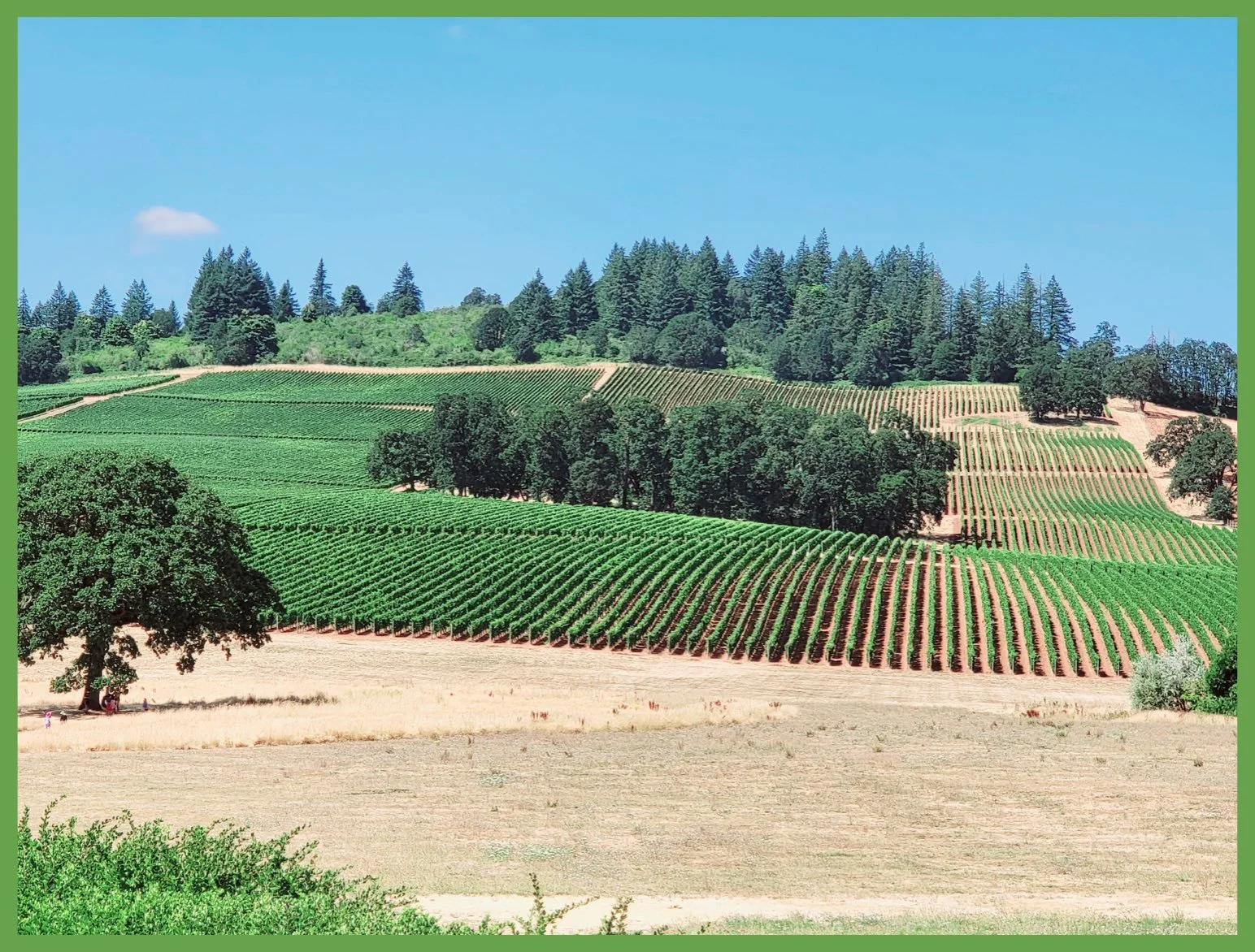 Yamhill Paradise