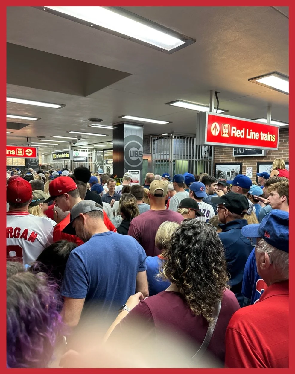 The Cubs Lost