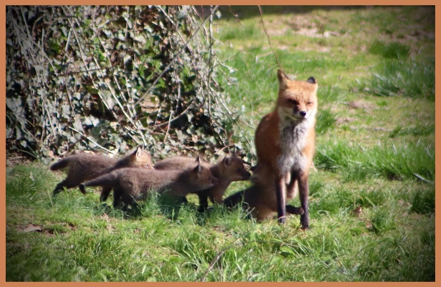 Mom and Her Kids Across the Street