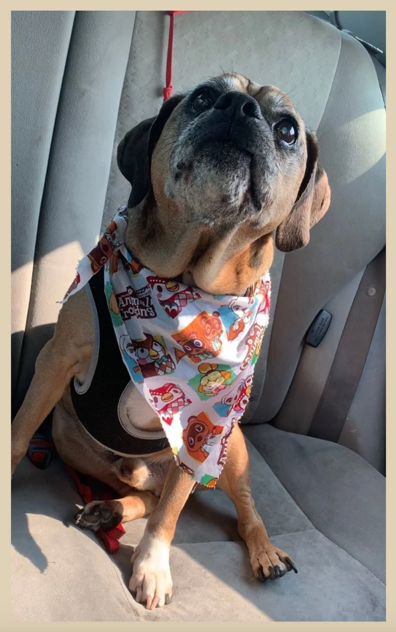 Pugsley on a Trip for McDonalds