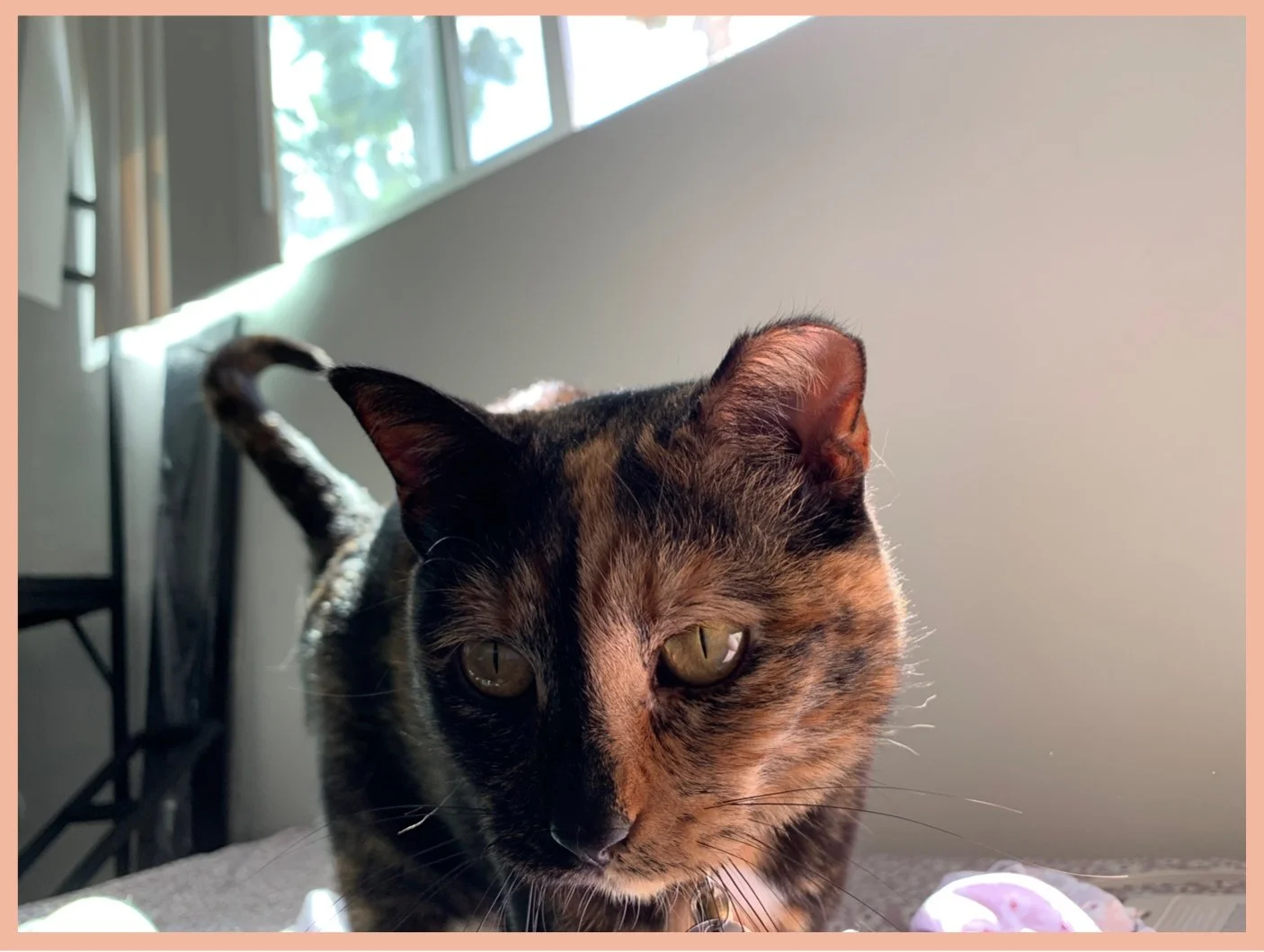Meg