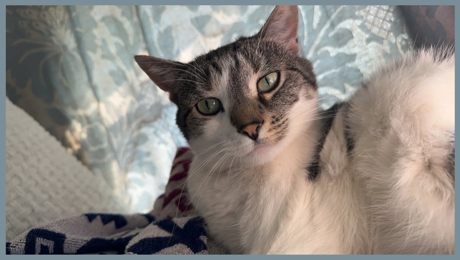 How Dare You Wake Me Up, Mother!