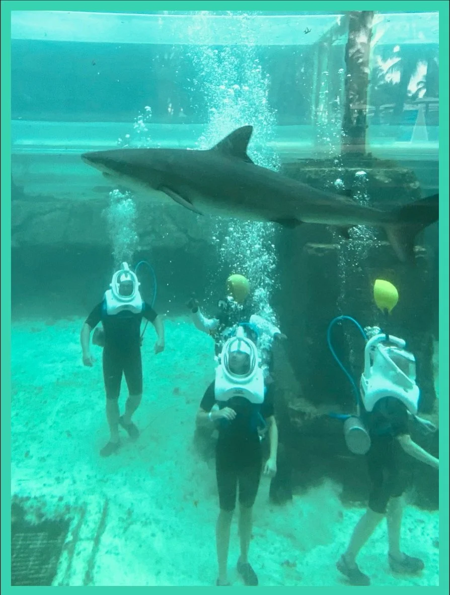 Shark Tank
