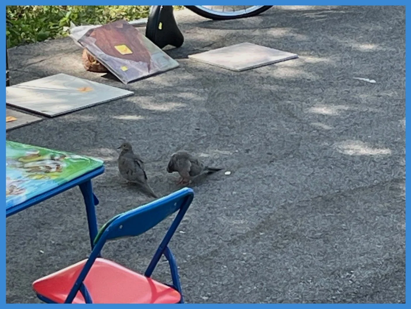 Yard Sale Visitors