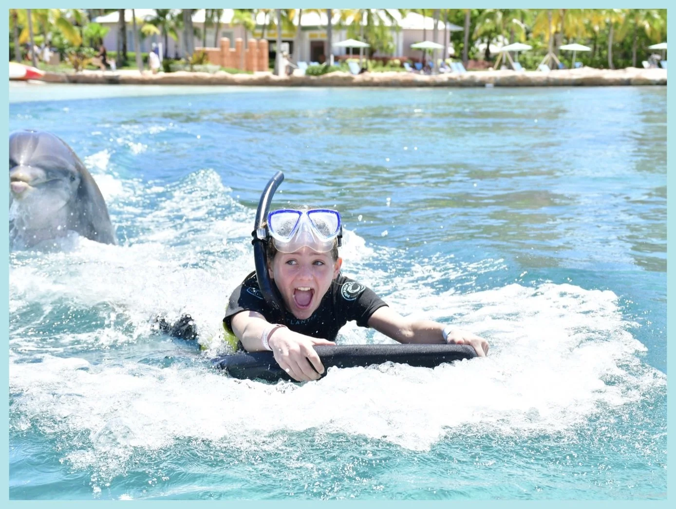 Dolphin Bait