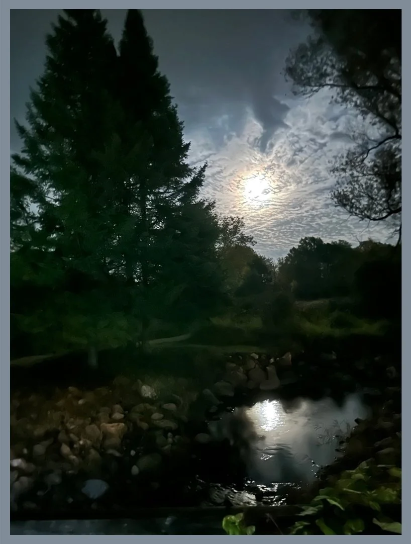 Twilight Creek
