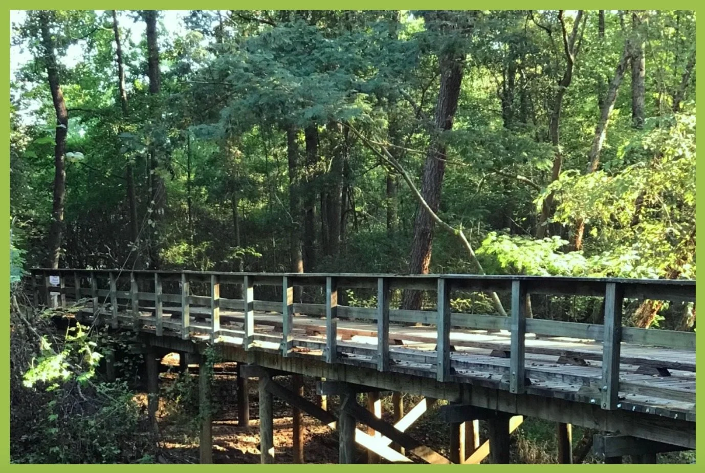 Trail