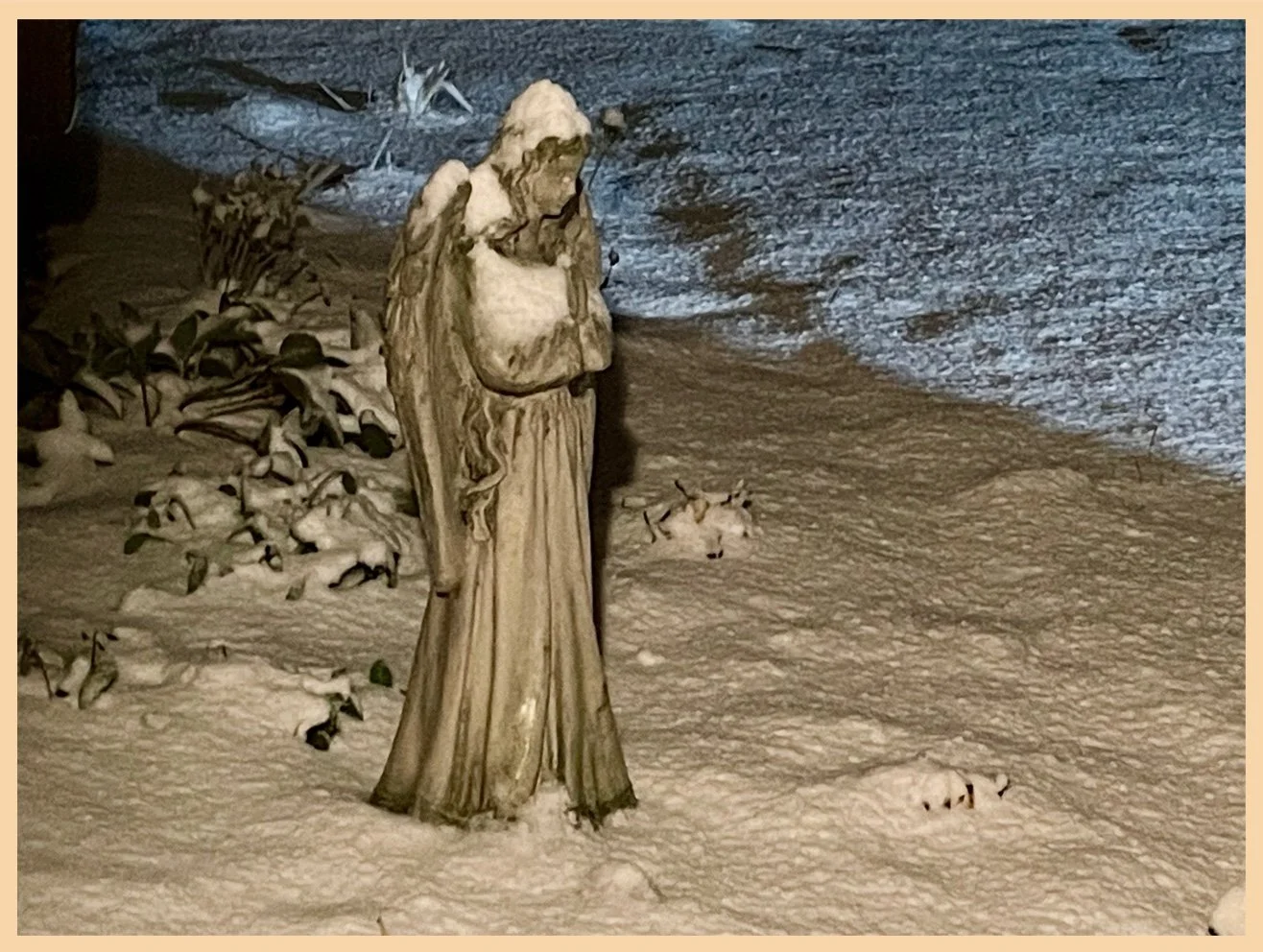 A Beautiful Angel in the Snow