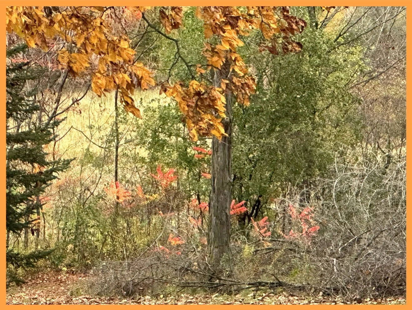 To Everything There is a Season