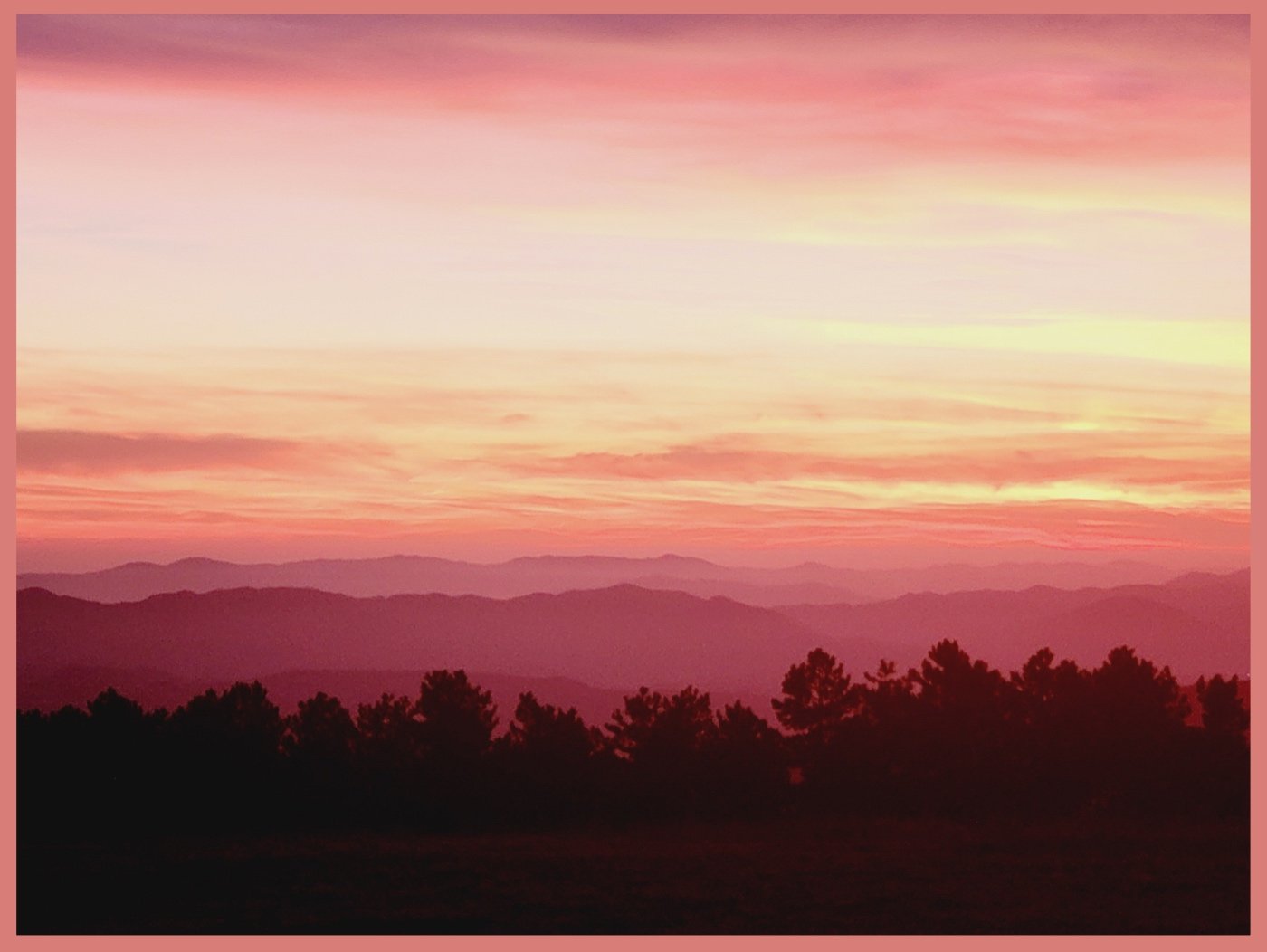Italian Sunset • Coral