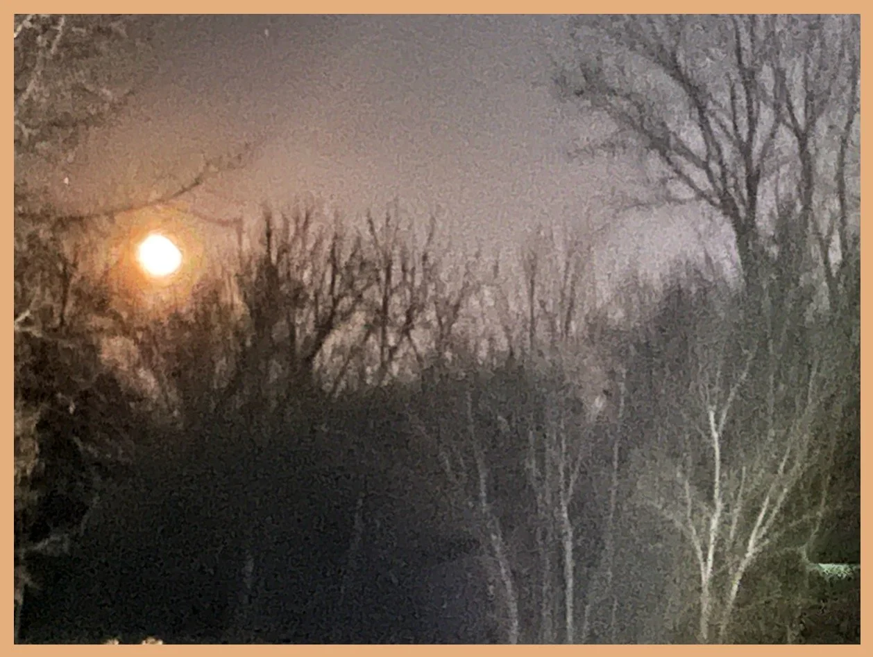 A Waning Fall Moon