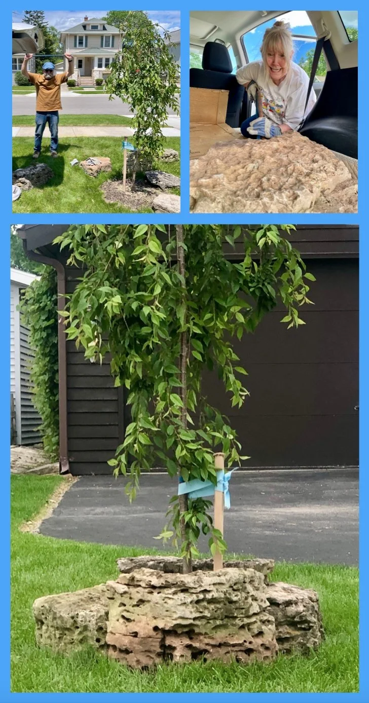 Daisy: Worshipping Holy Boulders