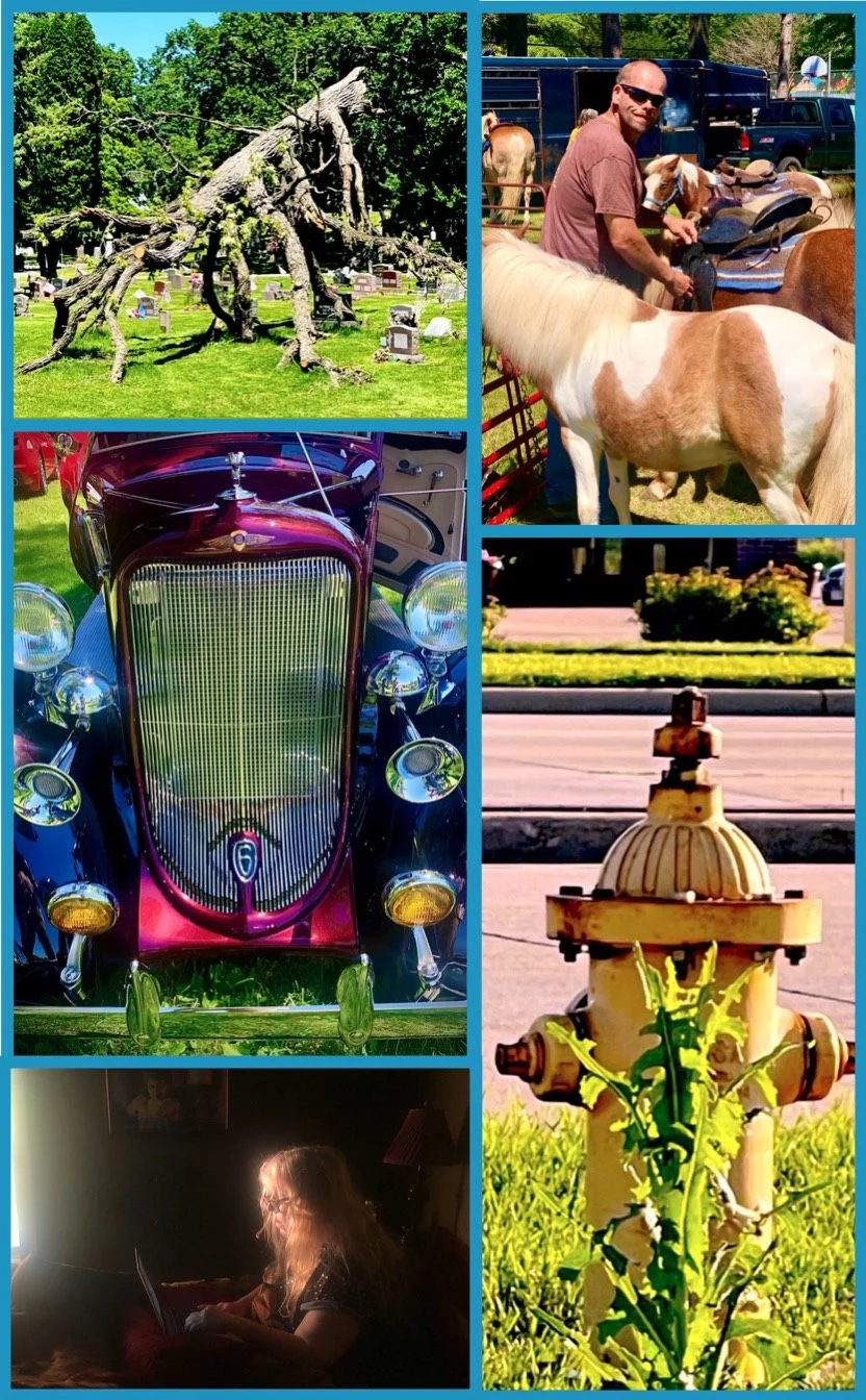 Daisy: Photo Contest Entries - Keith