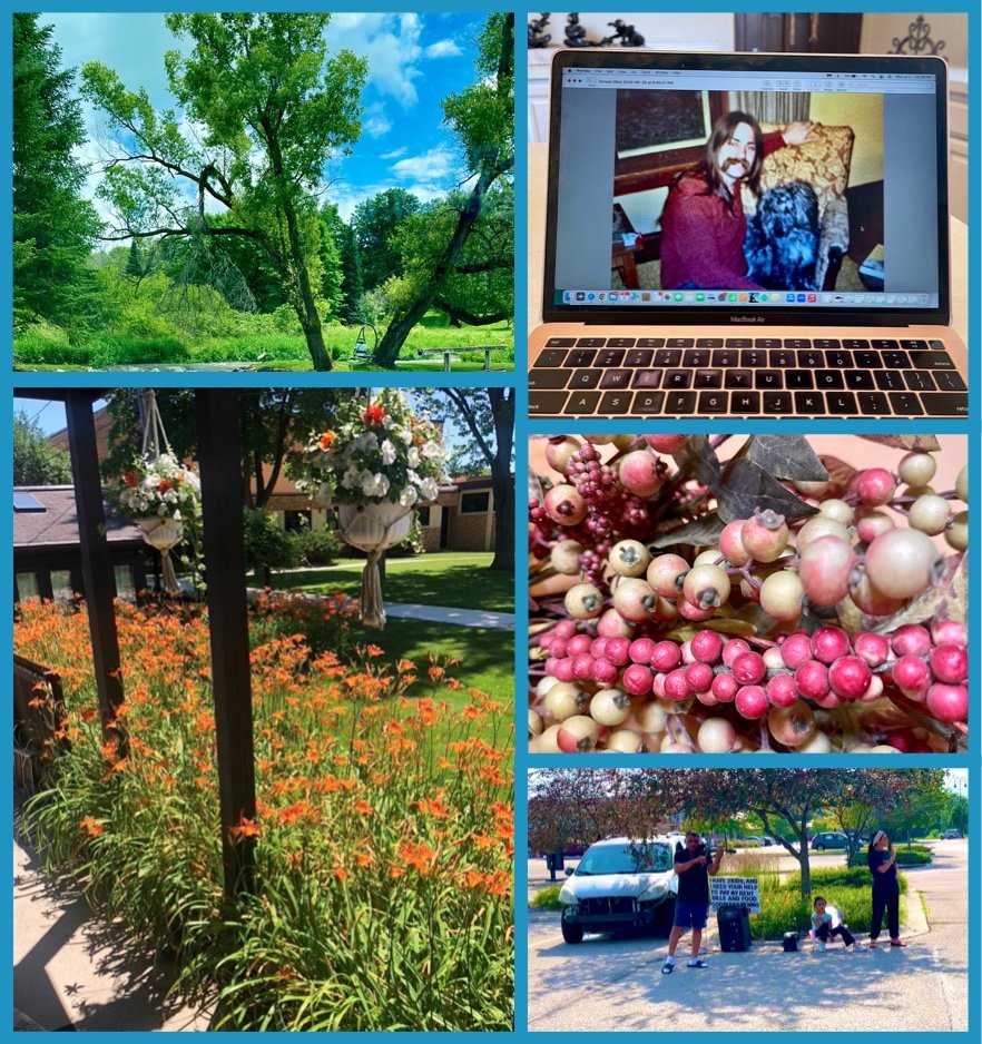 Daisy: Photo Contest Entries - Mary